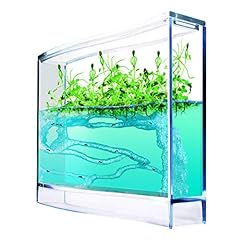 antquarium usato antquarium usato Spedito ovunque in Italia