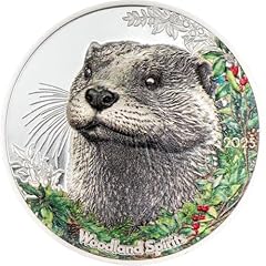 Tter woodland spirit gebraucht kaufen  Wird an jeden Ort in Deutschland