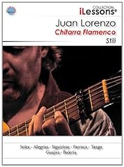 Chitarra flamenco stili usato  Spedito ovunque in Italia 
