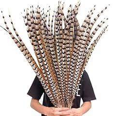 Natural pheasant feathers for sale  Delivered anywhere in UK
