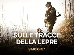 Sulle tracce della usato  Spedito ovunque in Italia 