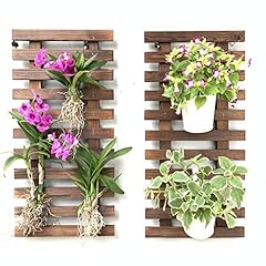 Shoplala wall planter for sale  Delivered anywhere in USA 