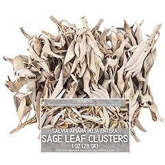 Yerbero premium white for sale  Delivered anywhere in USA 
