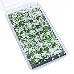 Tiardey flower grass for sale  Delivered anywhere in UK