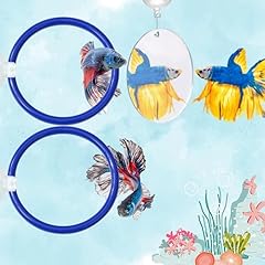 Betta fish enrichment for sale  Delivered anywhere in USA 