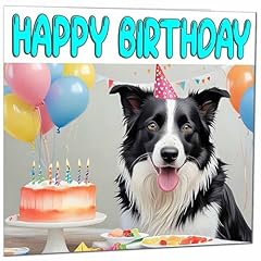 Border collie birthday for sale  Delivered anywhere in UK