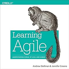 Learning agile understanding for sale  Delivered anywhere in USA 
