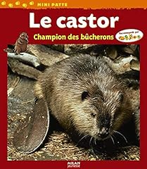 Castor champion bûcherons d'occasion  Livré partout en France
