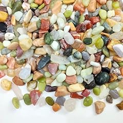 Fantian succulent rocks for sale  Delivered anywhere in USA 