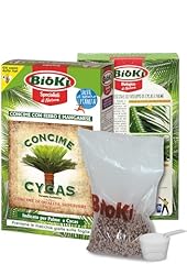 Concime cycas con usato  Spedito ovunque in Italia 