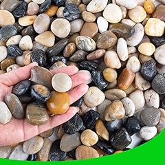 Pebbles plants natural for sale  Delivered anywhere in USA 