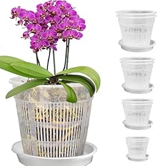 Pcs clear orchid for sale  Delivered anywhere in UK
