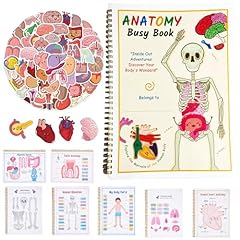 Human anatomy busy for sale  Delivered anywhere in UK