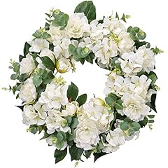 Guru hydrangeas spring for sale  Delivered anywhere in USA 