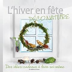 Hiver fete déco d'occasion  Livré partout en Belgiqu