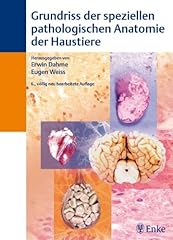 Grundriß speziellen pathologi gebraucht kaufen  Wird an jeden Ort in Deutschland