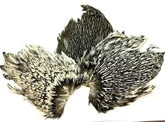 Generic grade badger for sale  Delivered anywhere in UK
