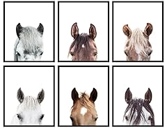 Zaiphany horse art for sale  Delivered anywhere in USA 
