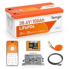 Temgo 36v 100ah for sale  Delivered anywhere in USA 