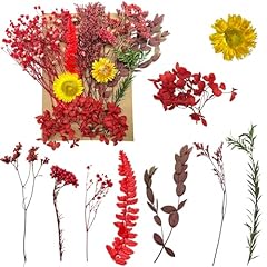 Fleurs séchées fleurs d'occasion  Livré partout en France