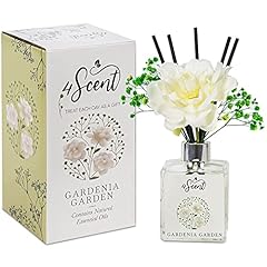 4scent reed diffuser for sale  Delivered anywhere in UK