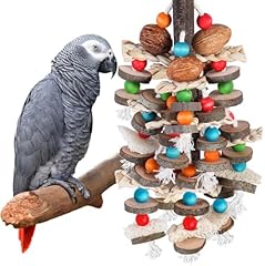 Bbjinronjy large parrot for sale  Delivered anywhere in USA 