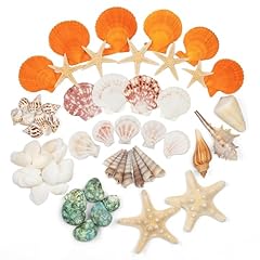 Skoolove types coquillages d'occasion  Livré partout en France