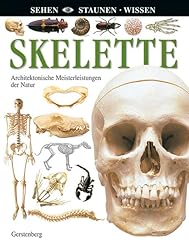 Skelette achitektonische meist gebraucht kaufen  Wird an jeden Ort in Deutschland