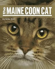 Maine coon cat d'occasion  Livré partout en Belgiqu