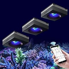 Popbloom 3pcs rl90 for sale  Delivered anywhere in UK