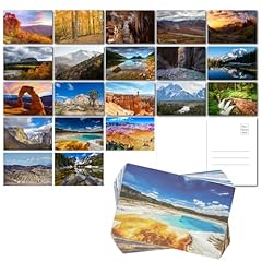 Pipilo press pack for sale  Delivered anywhere in USA 