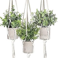 Artificial plants pack for sale  Delivered anywhere in USA 