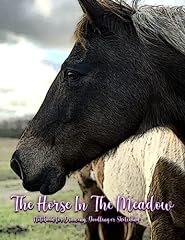 Horse meadow for sale  Delivered anywhere in UK