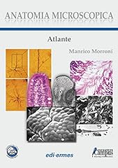 Anatomia microscopica. atlante usato  Spedito ovunque in Italia 