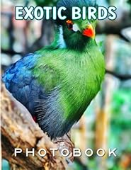 Exotic birds photo for sale  Delivered anywhere in USA 