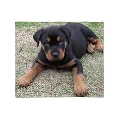 Cafepress rottweiler puppy for sale  Delivered anywhere in USA 