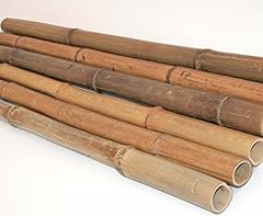 Stück bambusrohre 300cm gebraucht kaufen  Wird an jeden Ort in Deutschland
