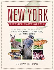 New york wildlife for sale  Delivered anywhere in USA 
