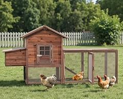Large wooden chicken for sale  Delivered anywhere in USA 