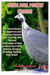 Guinea fowl poultry for sale  Delivered anywhere in USA 