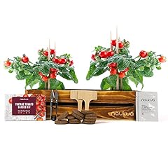 Kit vintage per usato  Spedito ovunque in Italia 