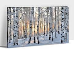 Guttaty birch tree for sale  Delivered anywhere in USA 