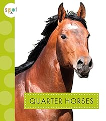 Quarter horses d'occasion  Livré partout en Belgiqu
