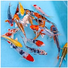 Live koi mix for sale  Delivered anywhere in USA 