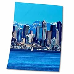 3drose seattle skyline for sale  Delivered anywhere in USA 