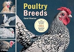 Poultry breeds chickens for sale  Delivered anywhere in USA 