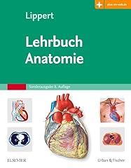 Lehrbuch anatomie zugang gebraucht kaufen  Wird an jeden Ort in Deutschland