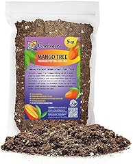 Premium mango tree for sale  Delivered anywhere in USA 