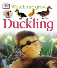 Duckling for sale  Delivered anywhere in UK