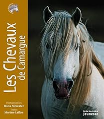 cheval camargue d'occasion  Livré partout en France